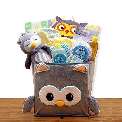 Бърза, Безплатна доставка в рамките на 1-3 дни в една декоративна кошница A Little Hoot New Baby - Подарък на детето