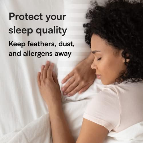 Niagara Sleep Solution 4 опаковки Защитни възглавници Стандарт 20x26 Инча Памучен Сатиновая Смес от Плътен Тъкат Голям Брой нишки