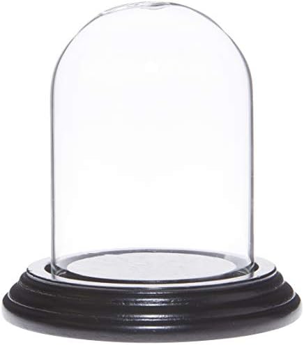 Plymor 2,5 x 3,5 Малък Стъклен купол за дисплея дамска шапка клош (основа от фурнир от абанос)