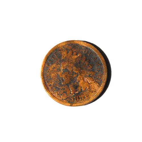 1881 Съединените Щати на Америка на 1 цент Монета Главата индианците Цент Малки детайли