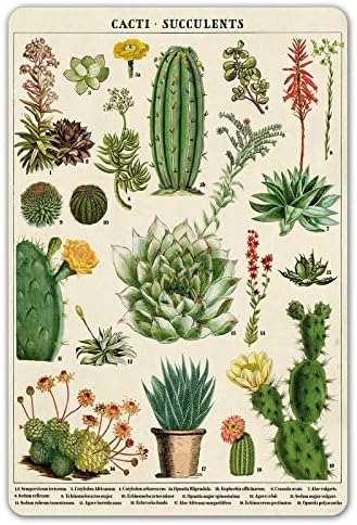 Ylens Ретро Постер на Знания Растението Cactus Кактуси, Сукуленти Метални Знаци, с монтиран на стената Принт Арт Декор на Стените