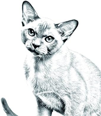 Арт Дог Оод. Бирма котка, Овално Надгробен камък от Керамични Плочки с Изображение на котка